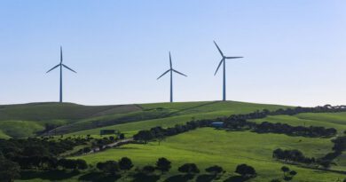 Bürgerentscheid im Ebersberger Forst Bürgerentscheid im Ebersberger Forst
