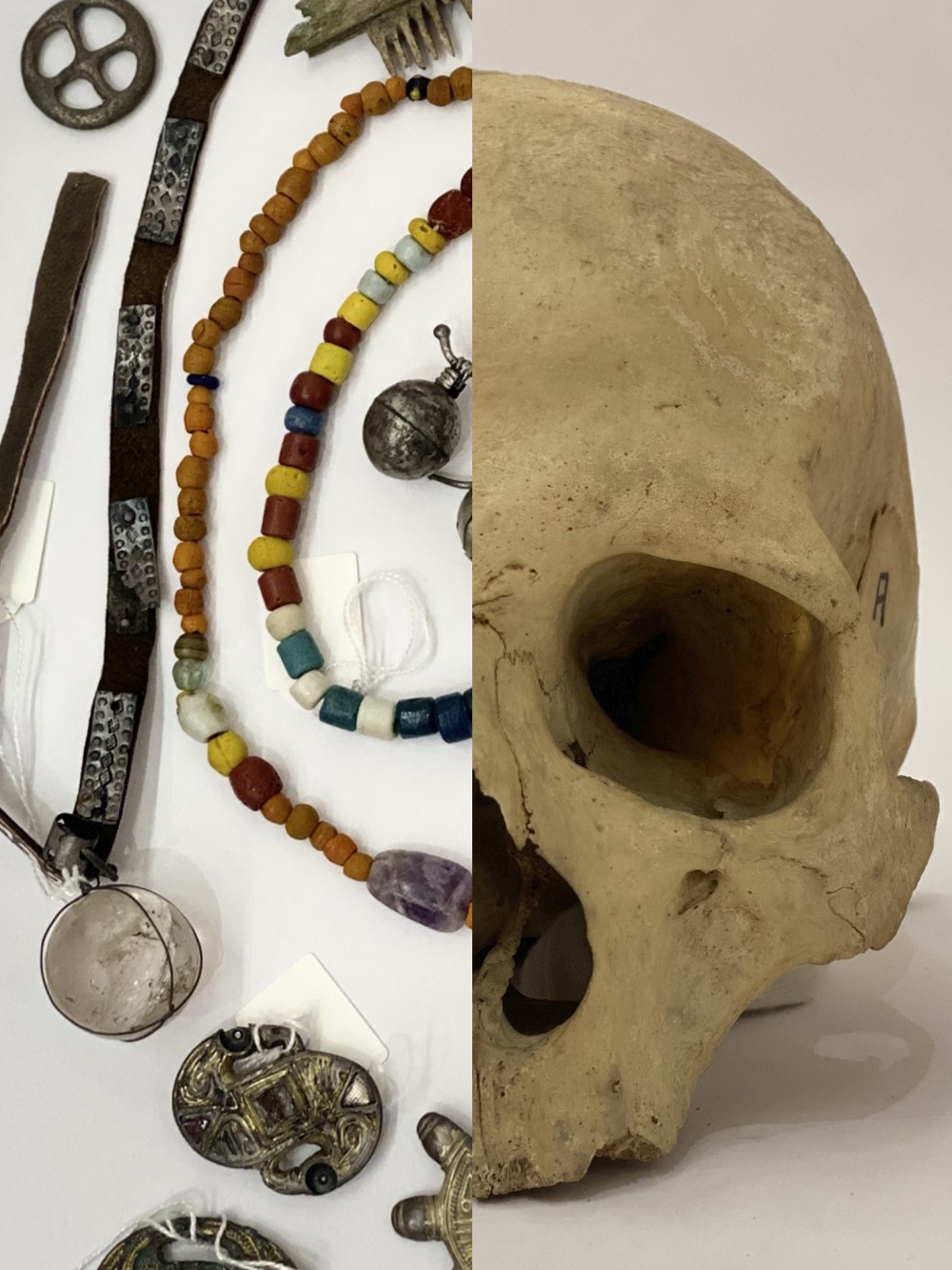 Blick in die Sammlung: Schätze der Bajuwaren