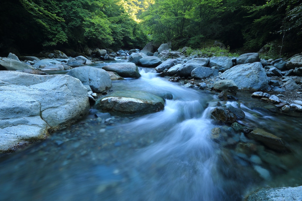 Bayrisches Umweltministerium setzt Schwerpunkte bei Wasser, Klima und Artenvielfalt