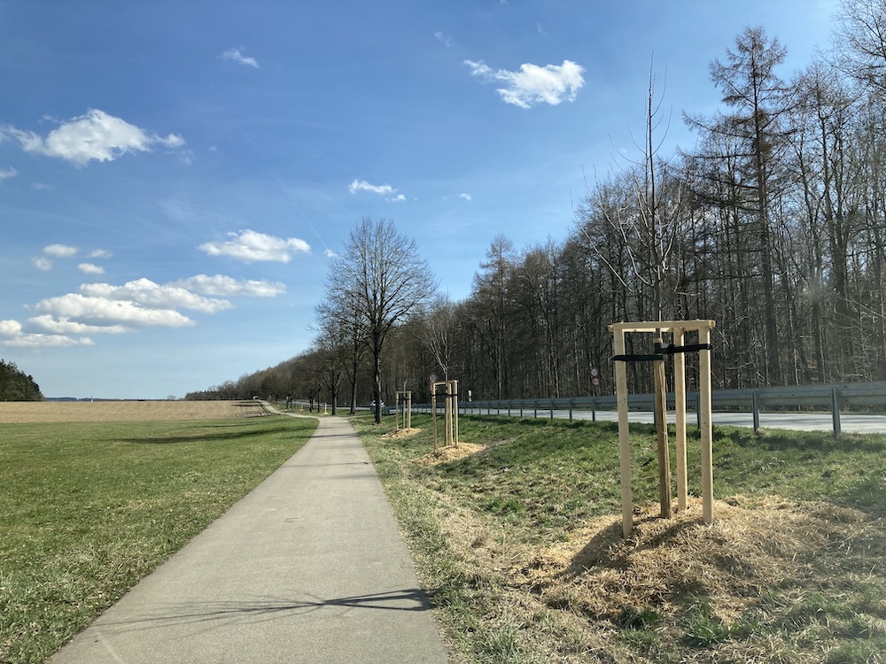 Mühldorf: Baumpflanzungen entlang der Bundesstraßen