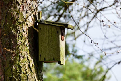 Bund Naturschutz: Vogelhäuser für Wintergäste herrichten