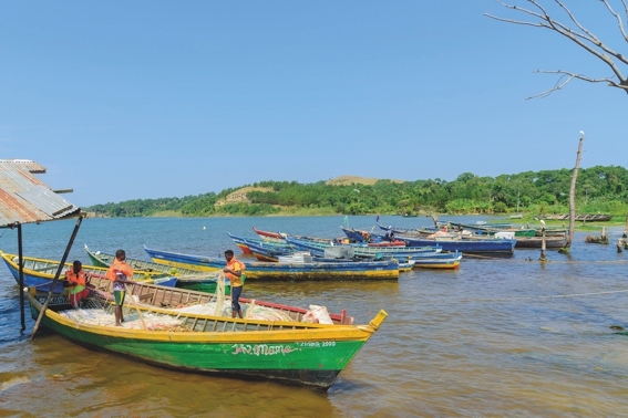 Fischgenuss mit gutem Gewissen - inn-sider.com