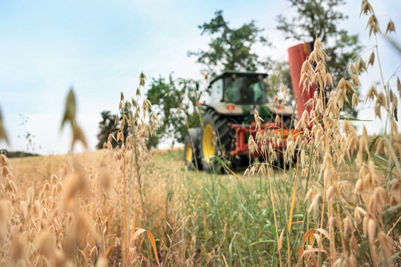 Superfood Hafer: Gesund und klimaschonend