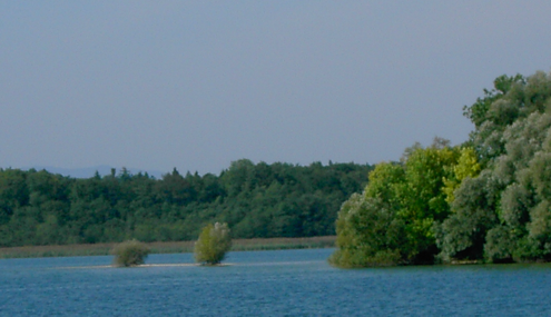 Kein Mehr an Vogelschutz am Chiemsee