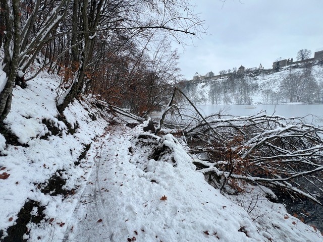 Wöhrsee Fußweg Schneeeinbruch