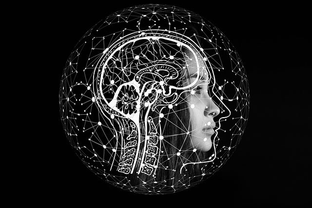 Gerlach startet Digital-Offensive im Bereich Gesundheit über die Pflege bis hin zur Prävention