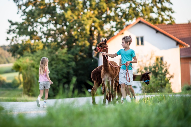 Schlechtwetteralternativen quer durch die Region