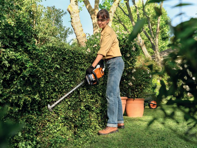 So wird die Hecke zum Hingucker: Tipps zum richtigen Schnitt des grünen Gartenzauns