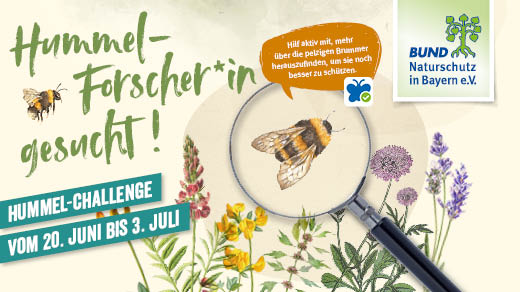 Jetzt mitmachen bei der 2. Hummel-Challenge