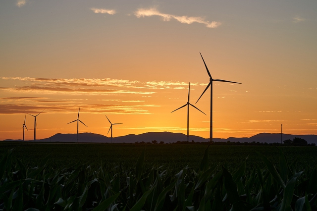 Die Zahl der Genehmigungen von Windrädern in Bayern wird sich in diesem Jahr mehr als verdoppeln