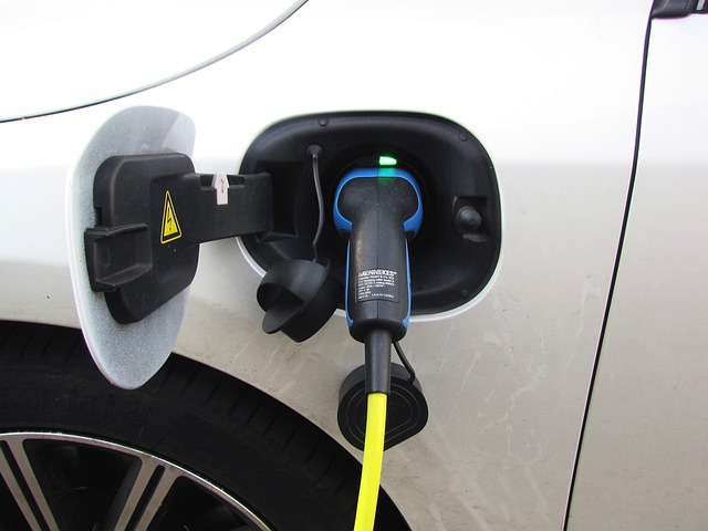 Herrmann zum kostenfreien Parken für Elektrofahrzeuge