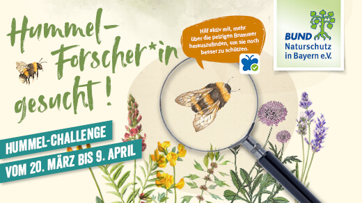 HUMMEL-Forscher werden und gewinnen