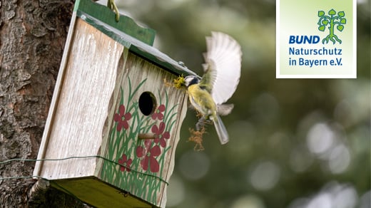 Frühlingserwachen: Tipps für Nisthilfen und Gartenarbeit