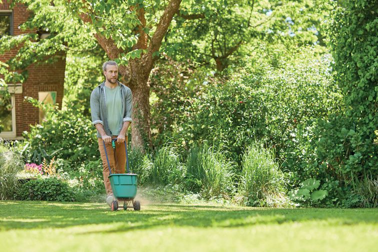 Trockenheit im Garten: So bleibt der Rasen auch bei Hitze gut in Form