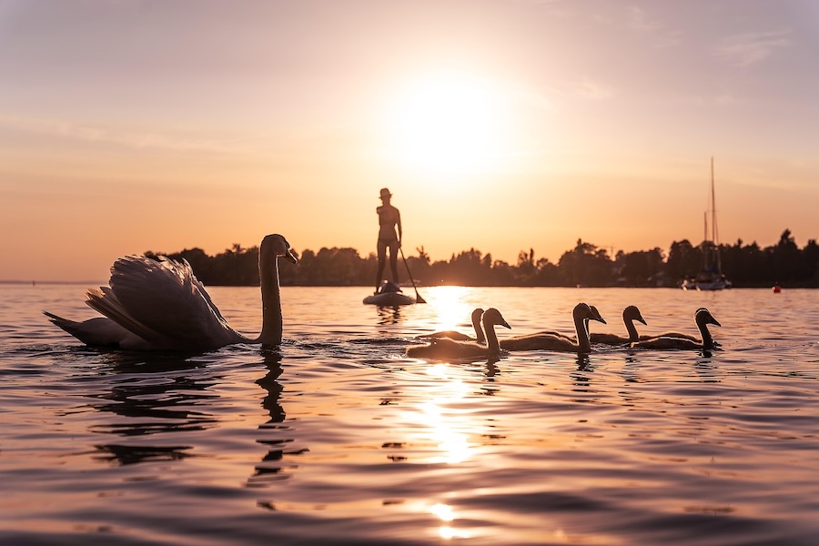 Wasserqualität in Bayerns Badeseen auch in diesem Jahr hervorragend