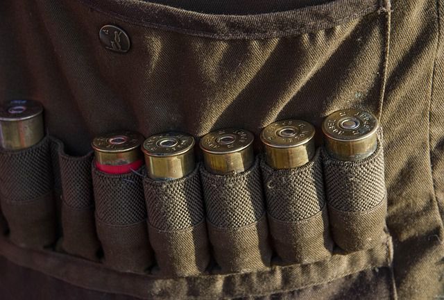 Ministerrat beschließt Änderung des Bayerischen Jagdgesetzes