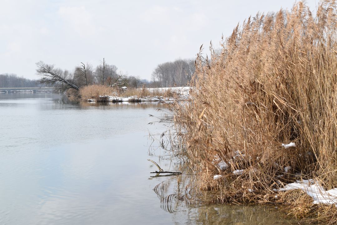 Tiefenwasser ist kein Selbstbedienungsladen mehr