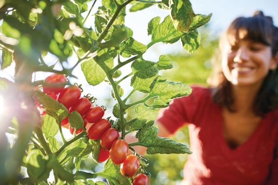 Innovativer Pflanzenschutz mit der Kraft der Natur